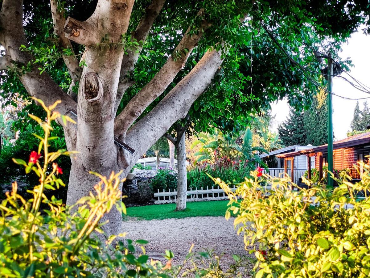 Etzel Tami Hospitality Neot Golan Exterior foto